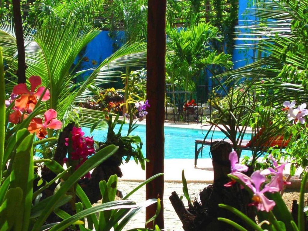 Alta Cebu Resort Dış mekan fotoğraf
