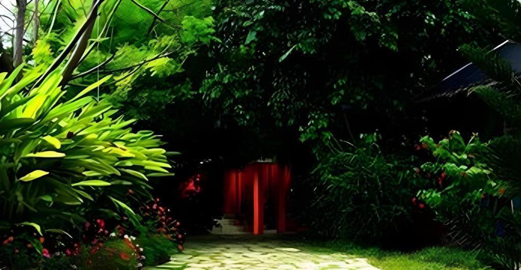 Alta Cebu Resort Dış mekan fotoğraf